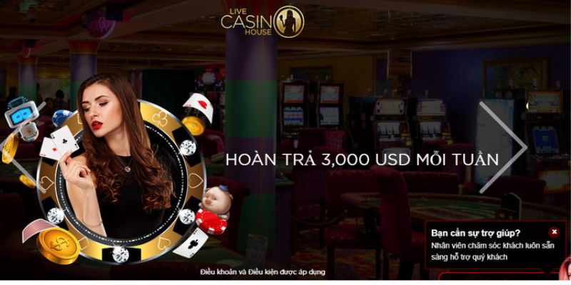 Live casino Win55 game bài ăn tiền hấp dẫn